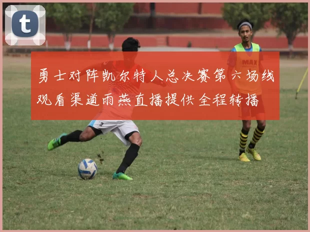 勇士对阵凯尔特人总决赛第六场线观看渠道雨燕直播提供全程转播